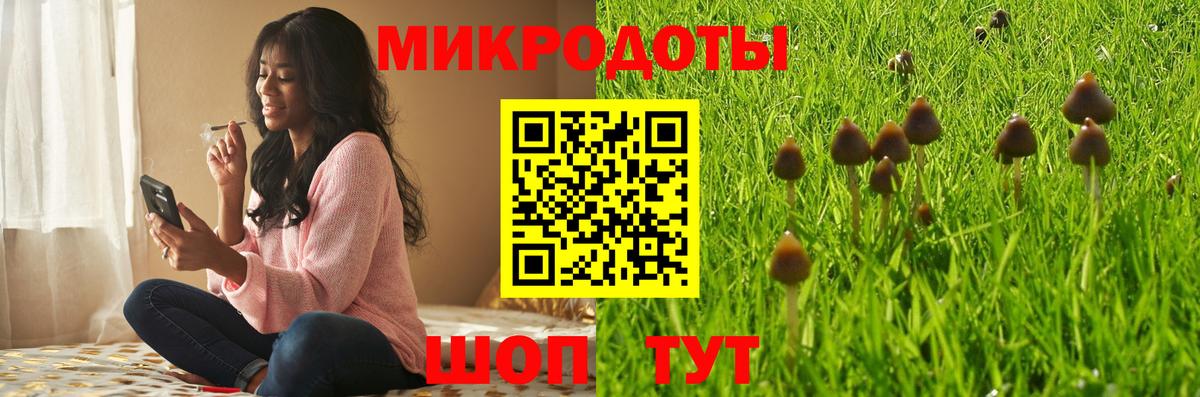 Галлюциногенные грибы Psilocybe Елизово
